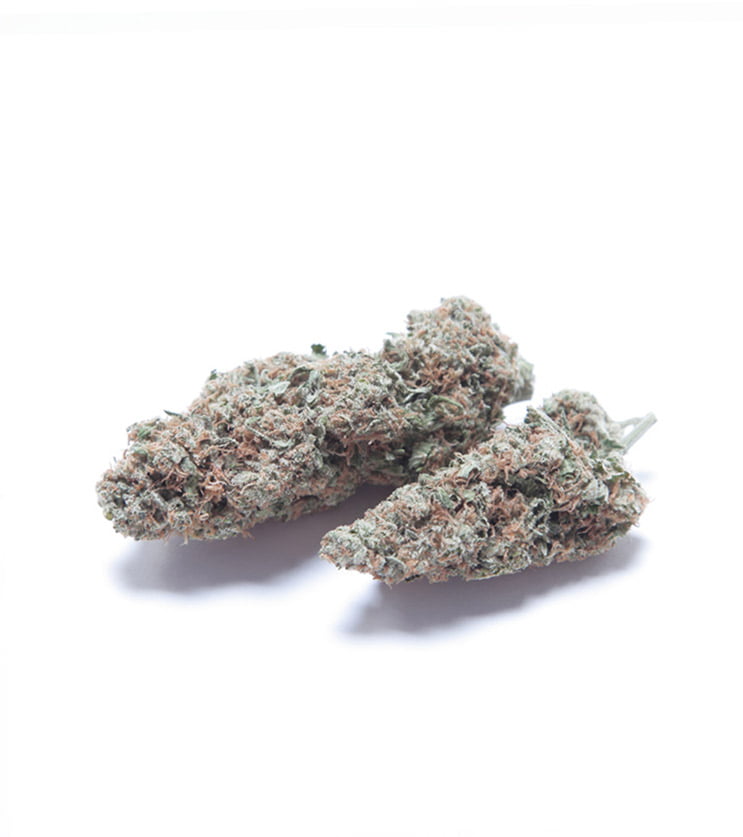 Northern Lights